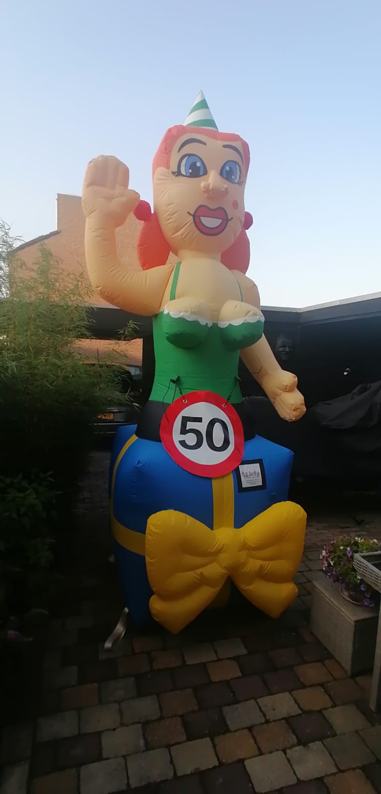 Afbeelding van WhatsApp op 2025-08-07 om 08.14.38_828db224 Sarah jong